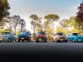 Cinque cc macchina colorate parcheggiate in fila sotto alberi autunnali.