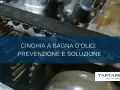Dettaglio cinghia motore Peugeot 2008, con testo "Cinghia a bagno d'olio: prevenzione e soluzione". Tartarelli Automotive.