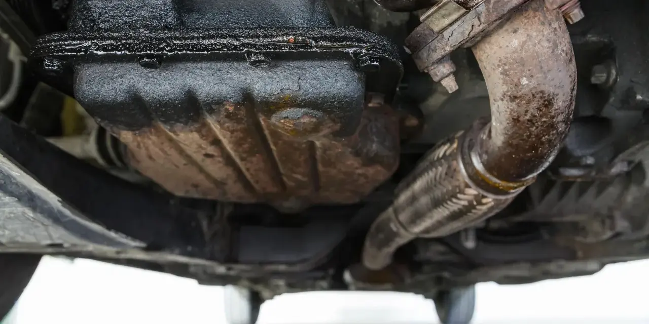 Sotto un'auto, si nota una **perdita olio motore dalla testata**, con accumuli scuri e gocciolamenti sul carter e sul tubo di scarico.