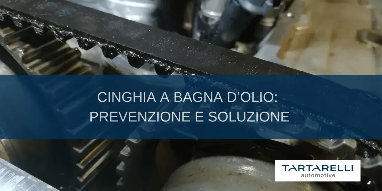 Dettaglio cinghia motore Peugeot 2008, con testo "Cinghia a bagno d'olio: prevenzione e soluzione". Tartarelli Automotive.