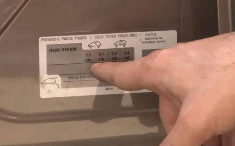 Etichetta con pressioni pneumatici 195/55 R16 87H. Dati in bar per diverse condizioni di carico.