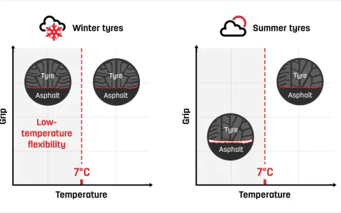 Grafico mostra che le gomme invernali mantengono flessibilità e aderenza sotto i 7°C, mentre quelle estive perdono efficacia.