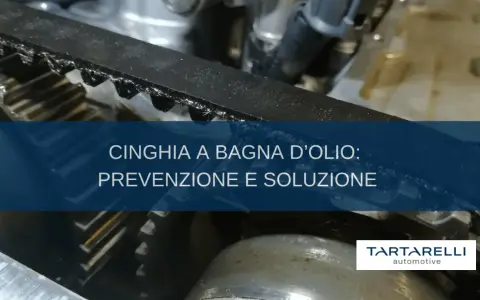 Dettaglio cinghia motore Peugeot 2008, con testo "Cinghia a bagno d'olio: prevenzione e soluzione". Tartarelli Automotive.