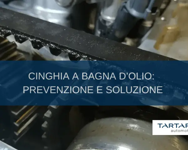 Dettaglio cinghia motore Peugeot 2008, con testo "Cinghia a bagno d'olio: prevenzione e soluzione". Tartarelli Automotive.