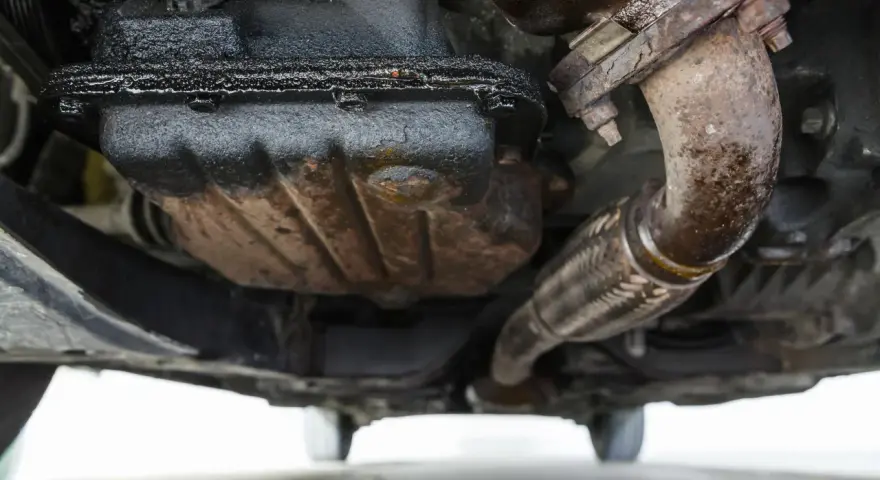 Sotto un'auto, si nota una **perdita olio motore dalla testata**, con accumuli scuri e gocciolamenti sul carter e sul tubo di scarico.