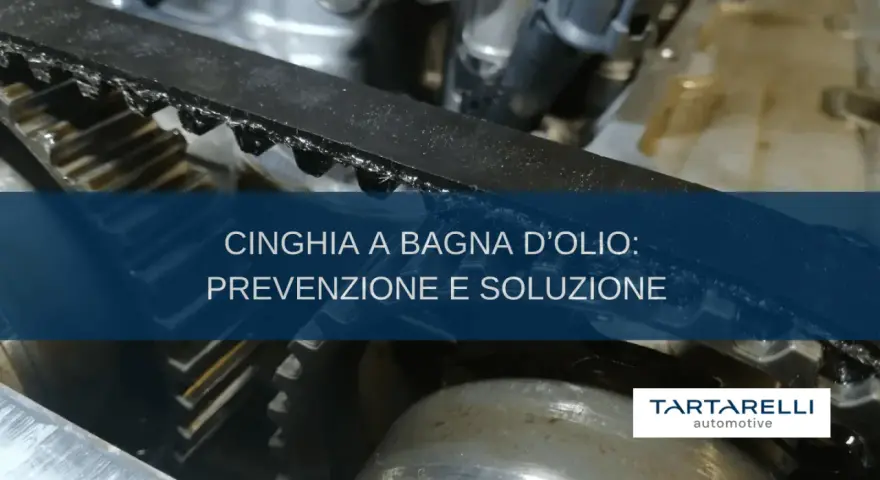 Dettaglio cinghia motore Peugeot 2008, con testo "Cinghia a bagno d'olio: prevenzione e soluzione". Tartarelli Automotive.