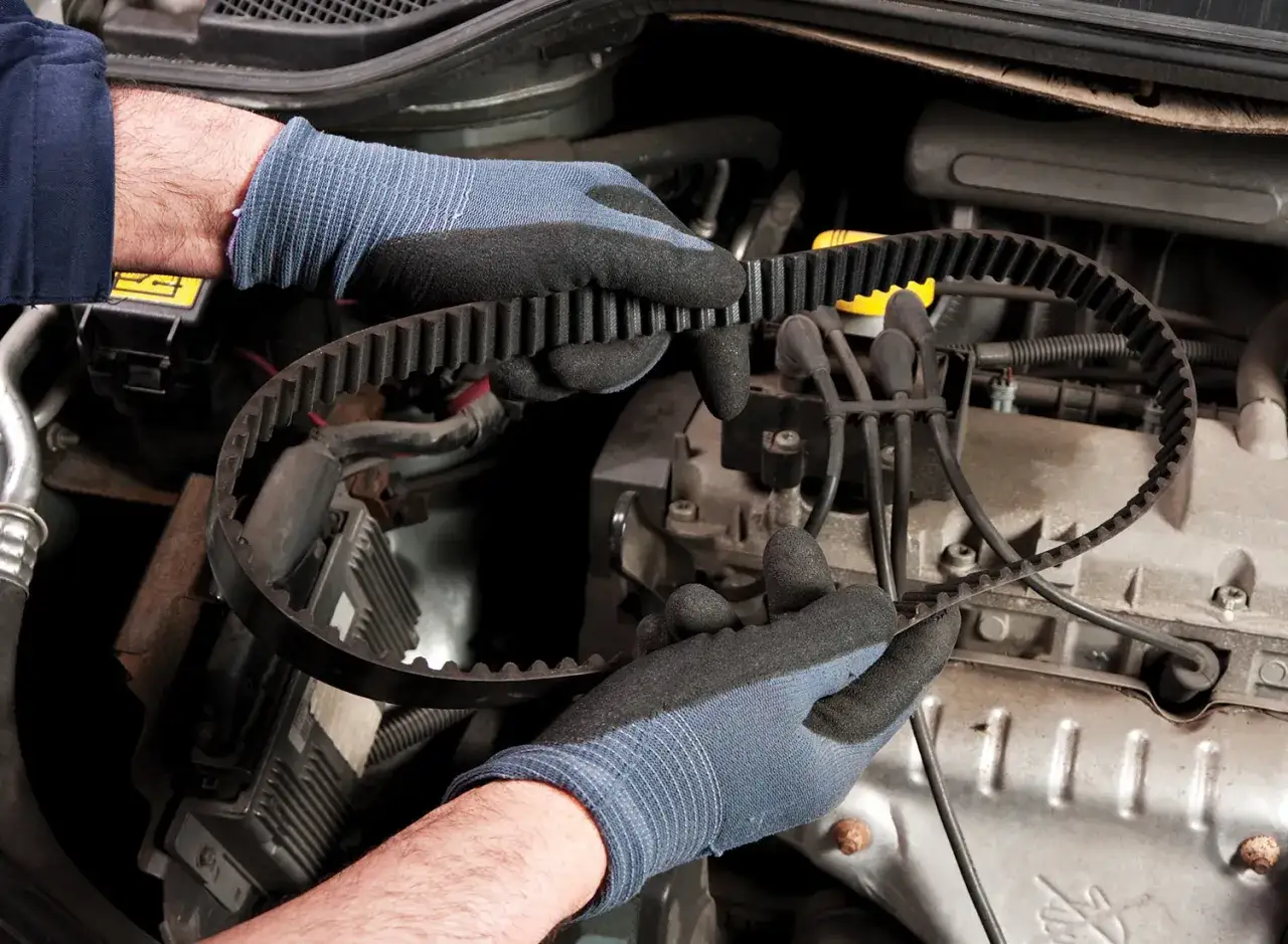 Mani guantate tengono una cinghia di distribuzione nuova, pronta per la sostituzione. Scopri quanto costa cambiare la cinghia di distribuzione per la tua auto.